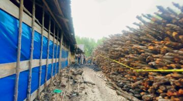 DAPUR ARANG ILEGAL DI DESA SESAP & SOKOP DIGEREBEK, POLDA RIAU SITA 100 TON BUKTI KEJAHATAN 