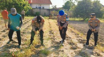 PEKANBARU, POLSEK KAWASAN PELABUHAN SALURKAN BANTUAN PUPUK & PENDAMPING 