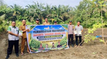 Dorong Ketahanan Pangan: Polsek Tapung Hilir & BUMDes Kota Baru Tekan 30 Ribu Bibit Jagung Betras di Lahan 1 Ha