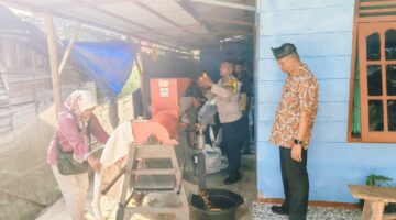 Ikut Panen, Polsek Perhentian Raja Kawal Pemipilan Jagung Target 2 Ton