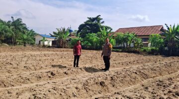 Bhabinkamtibmas Tapung Hilir Kawal Lahan Kosong Tanam Jagung di Kota Bangun