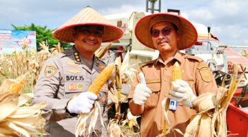 Panen Jagung 4 Hektar Dukung Swasembada Pangan, Karo SDM Polda Riau Turun Langsung ke Lahan
